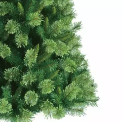 Christmas Trees><noscript><img width=