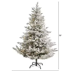Christmas Trees>Kirklands Home 6 ft. Clear Lit Flocked Fraser Fir Christmas Tree