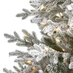 Christmas Trees><noscript><img width=