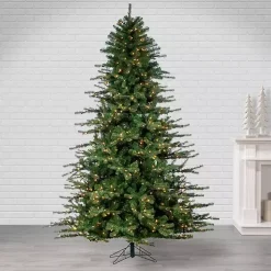 Christmas Trees><noscript><img width=