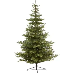 Christmas Trees>Kirklands Home 9 ft. Clear Lit Washington Spruce Christmas Tree