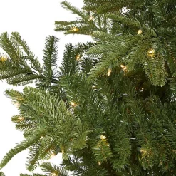 Christmas Trees><noscript><img width=