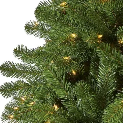 Christmas Trees><noscript><img width=