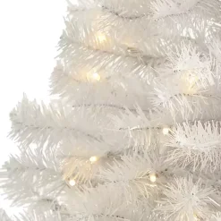 Christmas Trees><noscript><img width=