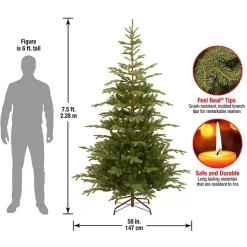 Christmas Trees><noscript><img width=