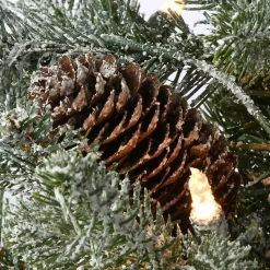 Christmas Trees><noscript><img width=