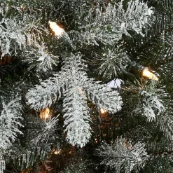Christmas Trees><noscript><img width=