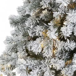 Christmas Trees><noscript><img width=