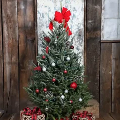 Christmas Trees>Kirklands Home 5 ft. Fresh Cut Fraser Fir Christmas Tree