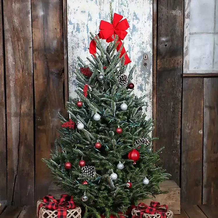 Christmas Trees>Kirklands Home 5 ft. Fresh Cut Fraser Fir Christmas Tree
