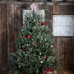 Christmas Trees>Kirklands Home 6 ft. Fresh Cut Fraser Fir Christmas Tree