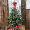 Christmas Trees>Kirklands Home 4 ft. Fresh Fraser Fir Christmas Tree with Stand