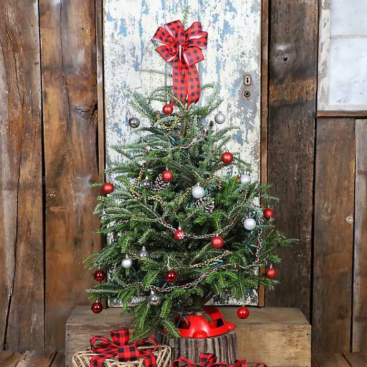 Christmas Trees>Kirklands Home 4 ft. Fresh Fraser Fir Christmas Tree with Stand