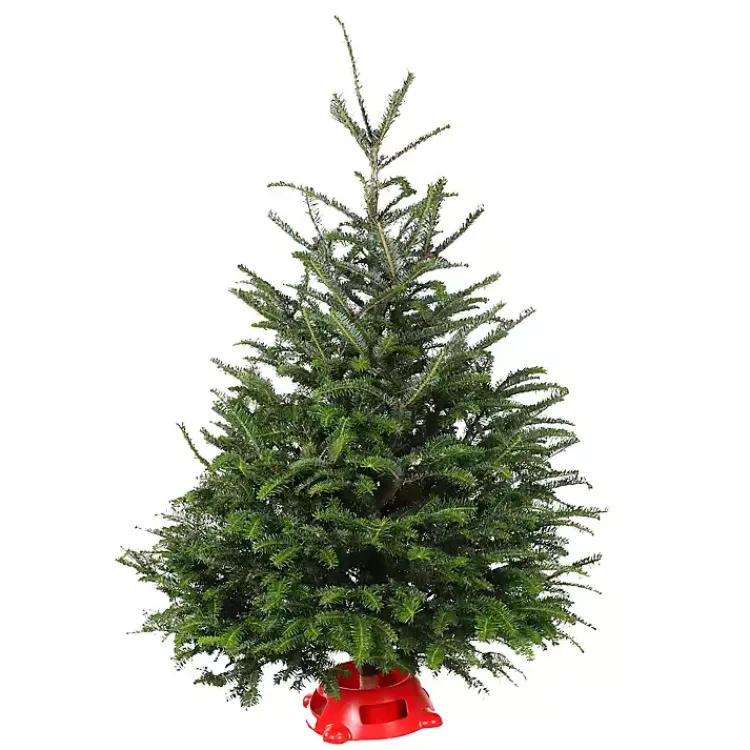 Christmas Trees>Kirklands Home 4 ft. Fresh Fraser Fir Christmas Tree with Stand