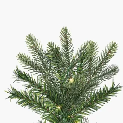 Christmas Trees><noscript><img width=