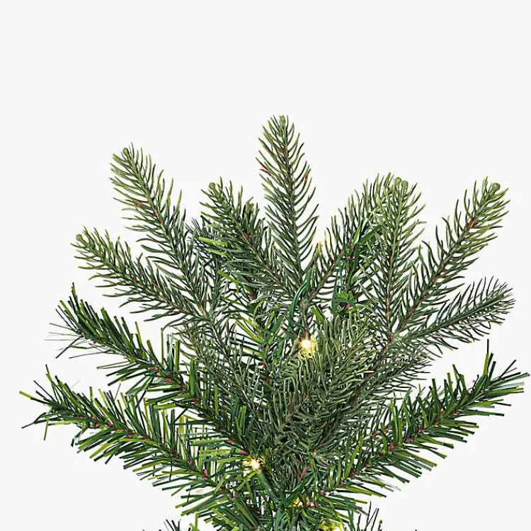 Christmas Trees>Kirklands Home 7.5 ft. LED Slim Douglas Fir Christmas Tree