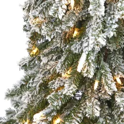 Christmas Trees><noscript><img width=