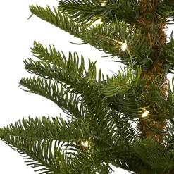 Christmas Trees><noscript><img width=