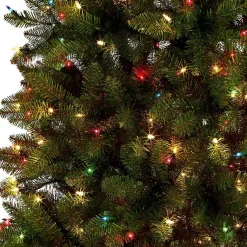 Christmas Trees><noscript><img width=