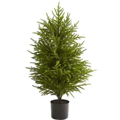 Christmas Arrangements & Garland>Kirklands Home 3 ft. Norfolk Island Pine Potted Christmas Tree Green