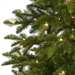 Christmas Trees><noscript><img width=