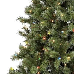 Christmas Trees><noscript><img width=