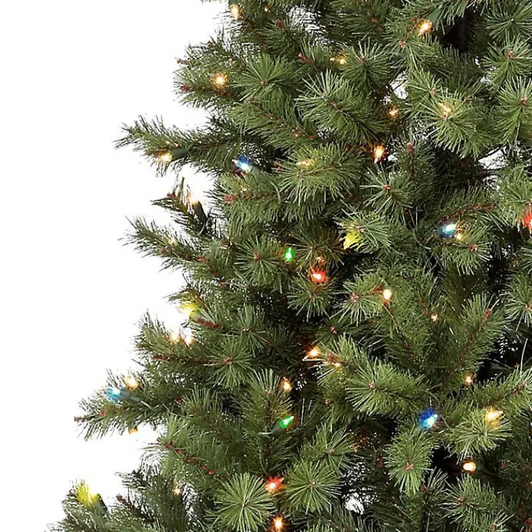 Christmas Trees>Kirklands Home 6 ft. Pre-Lit Asheville Alpine Christmas Tree