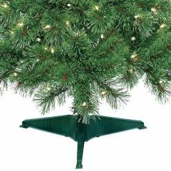 Christmas Trees><noscript><img width=