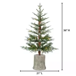 Christmas Arrangements & Garland>Kirklands Home 3 ft. Pre-Lit Cut Frosted Pine Christmas Tree