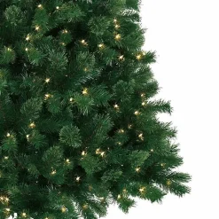 Christmas Trees><noscript><img width=