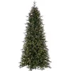 Christmas Trees>Kirklands Home 7.5 ft. Pre-Lit Douglas Fir Slim Christmas Tree