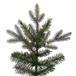 Christmas Trees><noscript><img width=