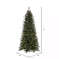 Christmas Trees><noscript><img width=