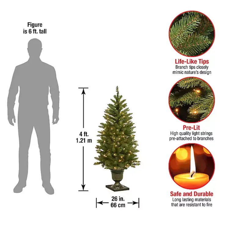 Christmas Trees>Kirklands Home 4 ft. Pre-Lit Dunhill Fir Potted Christmas Tree