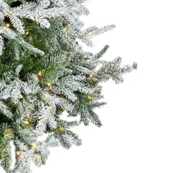 Christmas Trees><noscript><img width=