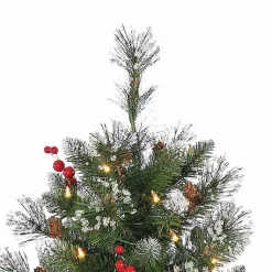 Christmas Trees><noscript><img width=