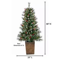 Christmas Trees><noscript><img width=