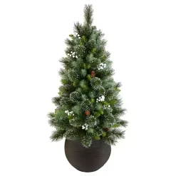 Christmas Trees><noscript><img width=