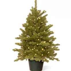 Christmas Arrangements & Garland>Kirklands Home 3 ft. Pre-Lit Hampton Spruce Potted Christmas Tree Green