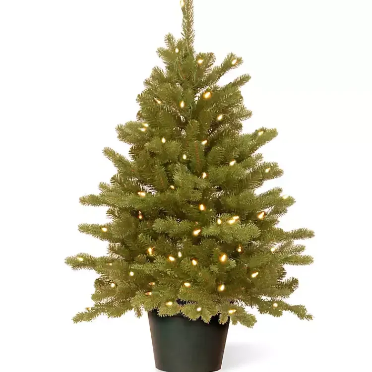 Christmas Arrangements & Garland>Kirklands Home 3 ft. Pre-Lit Hampton Spruce Potted Christmas Tree Green