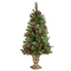 Christmas Trees><noscript><img width=