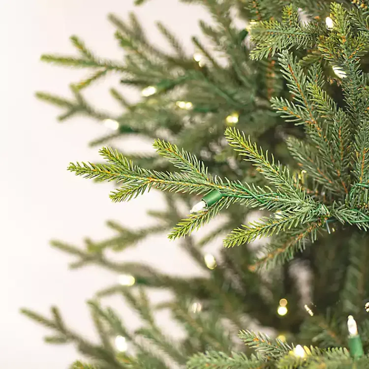 Christmas Trees>Kirklands Home 5.5 ft. Pre-Lit Itasca Fraser Christmas Tree