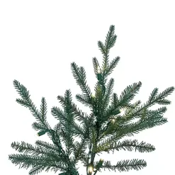 Christmas Trees><noscript><img width=