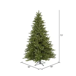 Christmas Trees><noscript><img width=