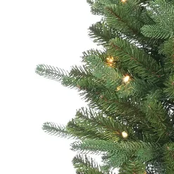 Christmas Trees><noscript><img width=