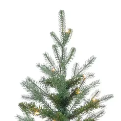 Christmas Trees><noscript><img width=