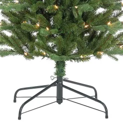 Christmas Trees><noscript><img width=