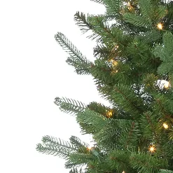 Christmas Trees><noscript><img width=