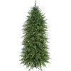 Christmas Trees>Kirklands Home 5 ft. Pre-Lit Natural Touch Norfolk Christmas Tree