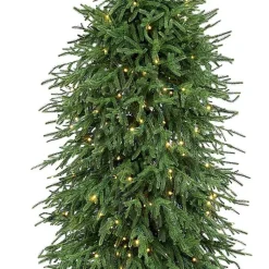 Christmas Trees><noscript><img width=